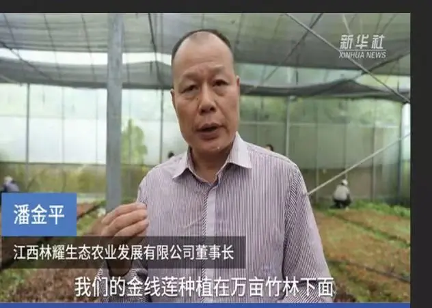 Pan Jinping, Cathaoirleach Jiangxi Linyao Ecological Agriculture Development Co., Ltd., agallamh ag Xinhua News Agency